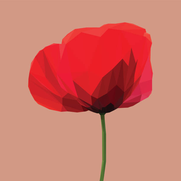 Geometric Red Poppy Illustration Geometric, low poly, illustration of a red poppy flower from the side. red poppy stock illustrations