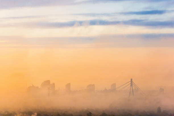 Foggy night at the Liberty bridge, Budapest, Hungary