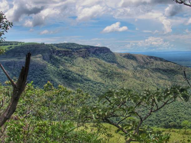istock Landscape in Chapada dos Guimaraes National park 1312534381