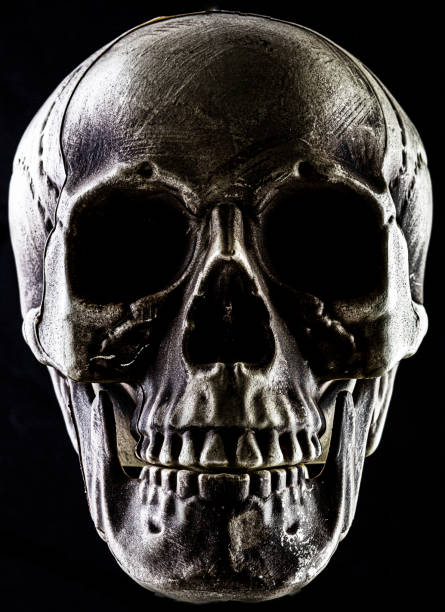 istock Skeleton Film Noir 1312535427