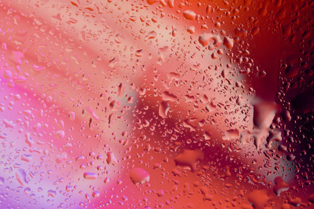 istock Neon lights behind water drops close up 1312536679