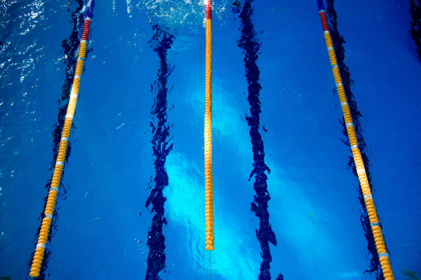 istock Calm water on empty swimming pool, dark lanes marks visible floor 1312537248