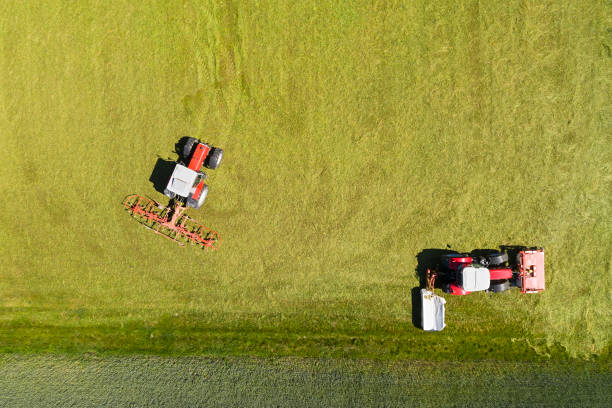 istock Two red tractors working in field, aerial view 1312541511