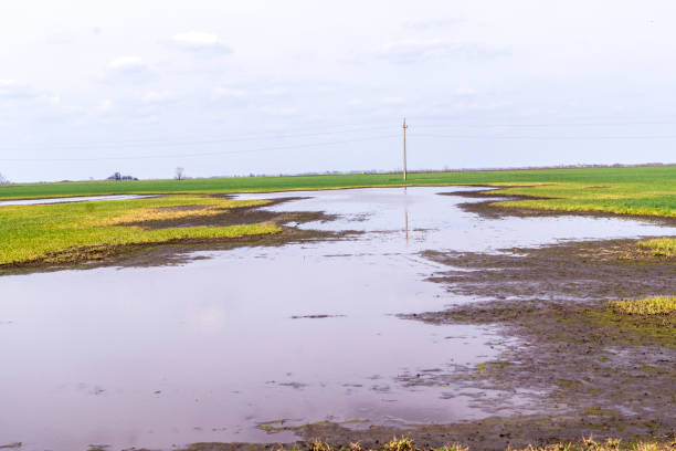 istock Inland water, rainwater, mud 1312543128