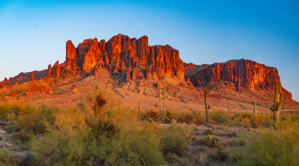 istock Saguaro Cactus and the Superstition Mountains 1312547077