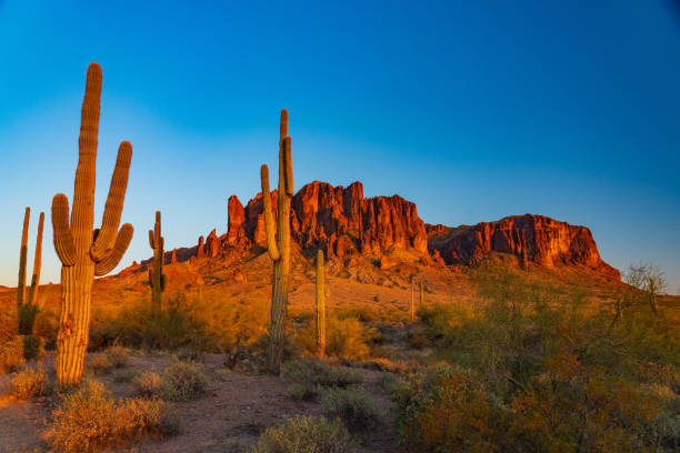 istock Saguaro Cactus and the Superstition Mountasins at Sunset 1312547125