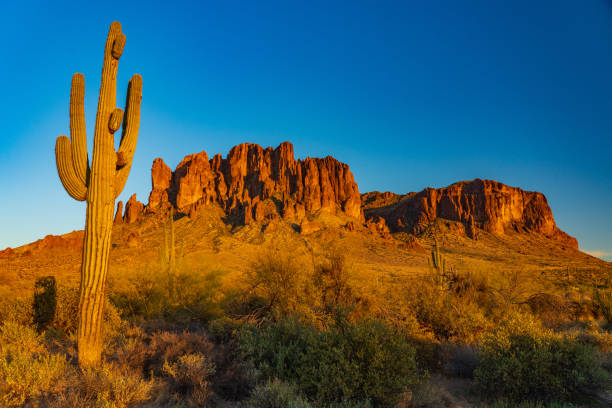 istock Saguaro Cacutus and and the Superstition Mountains 1312547150