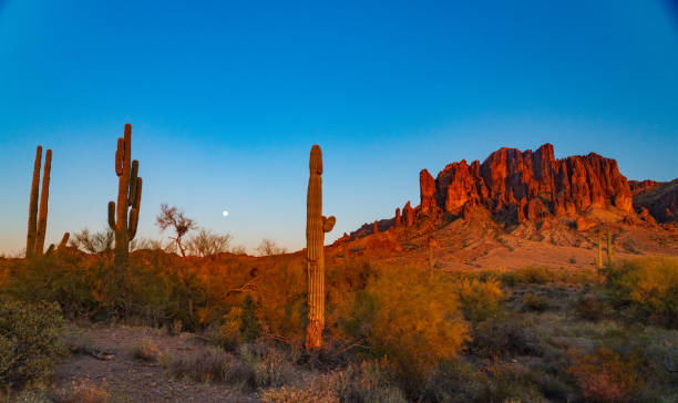 istock Segauro Cactus, the Moon, and the Superstition Mountains 1312547277