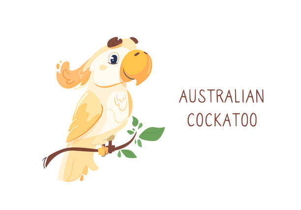 ilustrações, clipart, desenhos animados e ícones de vetor de cacatua australiana sentado em um galho. papagaio brilhante engraçado, o céu azul e nuvens. pássaro de personagem bonito, ilustração em um estilo plano. fundo isolado - branch bird flying pets