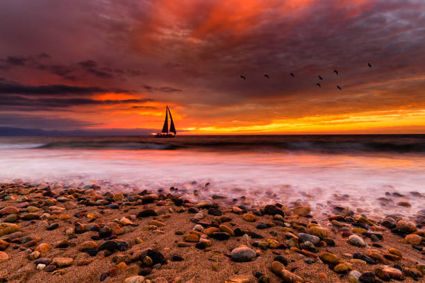 istock Sunset Ocean Sailboat Birds 1312557824