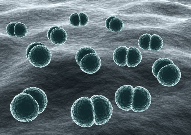 Microscopic view of Bacteria Streptococcus pneumoniae causative agent of pneumonia. 3D illustration
