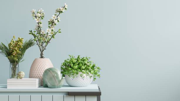 istock Interior wall mockup with green plant,Light blue wall and shelf. 1312560391