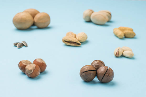 istock Stacked round sets of different nuts on a blue background. 1312561454