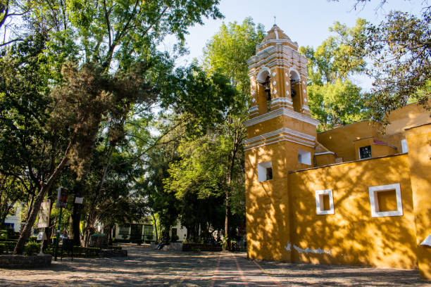 vieille église mexicaine entourée d’arbres à coyoacan - coyoacán photos photos et images de collection