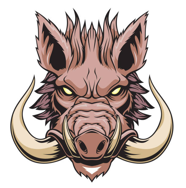wild boar head mascot Vector illustration for use as print, poster, sticker, logo, tattoo, emblem and other. warthog stock illustrations