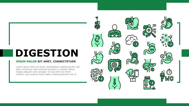 Digestion Disease And Treatment Landing Header Vector Digestion Disease And Treatment Icons Set Vector. Digestion System And Gastrointestinal Tract, Examining And Consultation, Heartburn And Gassing Illustration tear gas stock illustrations