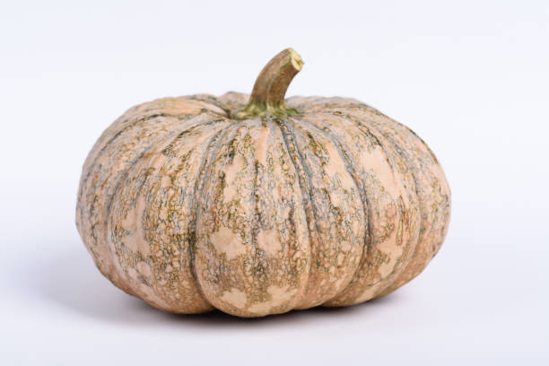 istock Organic Asian pumpkin on white background 1312576902