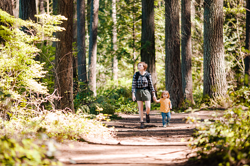 A mother with two small children goes hiking in Washington state Pacific Northwest forest on a sunny afternoon.