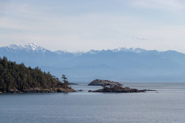 istock sea and  mountain view landscape 1312578661