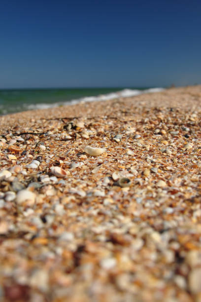 istock Background with seashell beach by the sea and blue sky 1312580593