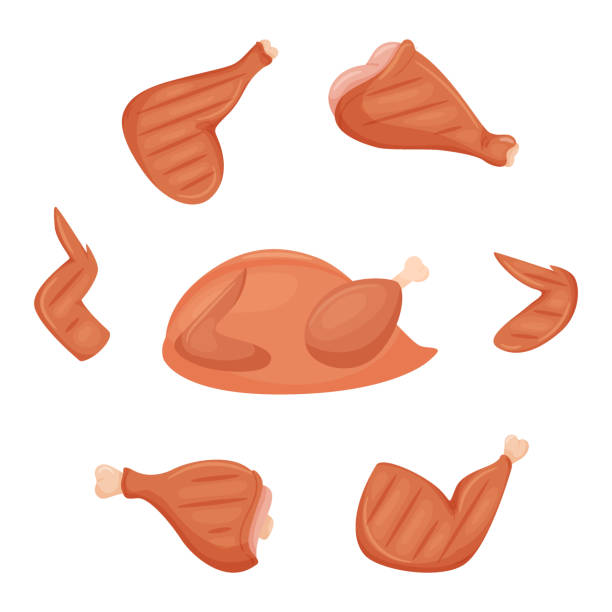 eine reihe von gegrillten hähnchenzutaten. gekochte gebratene hähnchenbrust, bein, flügel, schienbein. ein ganzes huhn. fleischfutter. ein produkt tierischen ursprungs. eine flache, cartoonartige vektor-illustration, isoliert auf weiß - cooked chicken white background grilled chicken stock-grafiken, -clipart, -cartoons und -symbole