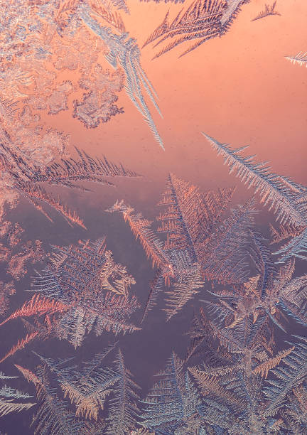 istock frost. wonderful winter patterns on glass at sunset. 1312584175
