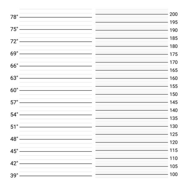 50+ Jail Height Chart Stock Illustrations, RoyaltyFree Vector Graphics