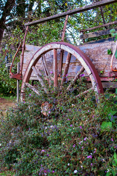 istock Old moss covered wooden wagon 1312584998