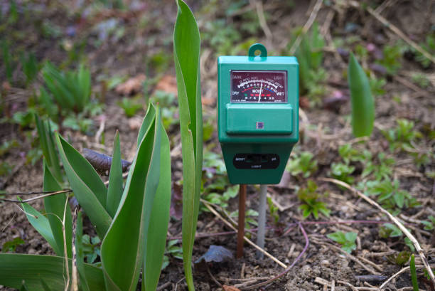 Agricultural meter to measure the moisture content stock photo