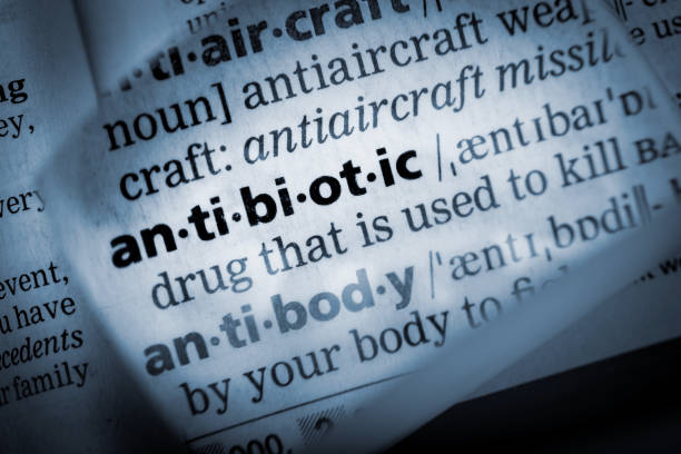 istock The Definition of Antibiotic 1312587368
