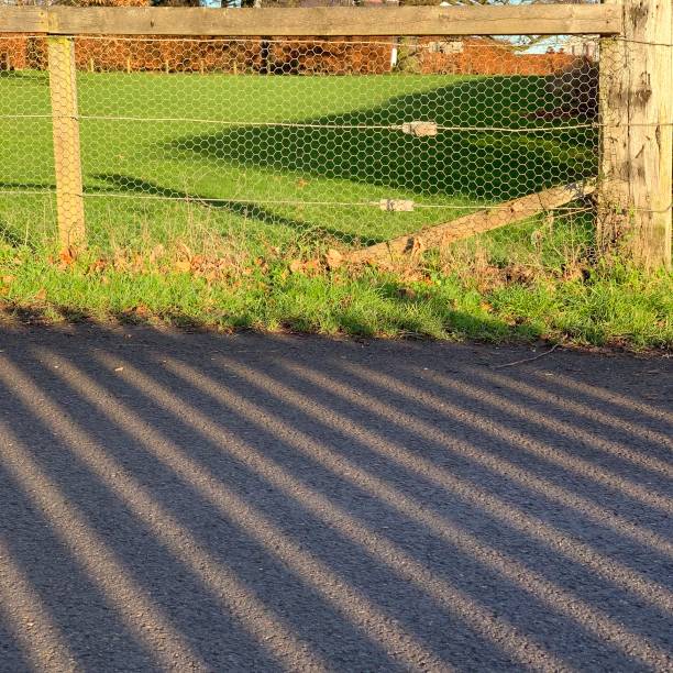 schatten und zaun - green fence chainlink fence wall stock-fotos und bilder