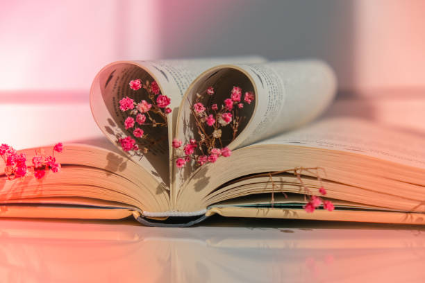 istock Book pages folded into a heart and pink flower. Soft focus, deliberate slight blurring. Delicate pink gypsophila flowers. Slow living concept. Unity with nature. Love 1312588867