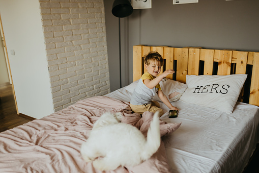 little boy use his phone and play with his dog in the bed