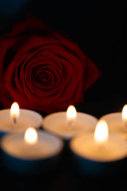 istock red rose with candles, black background, mourning 1312589656
