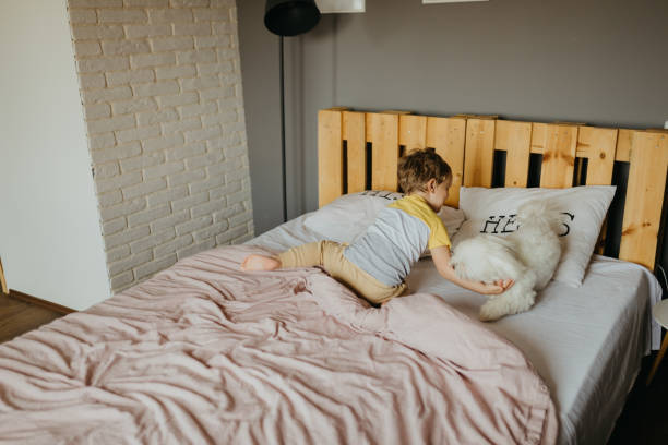 istock little boy playing with his dog in the bed 1312589657