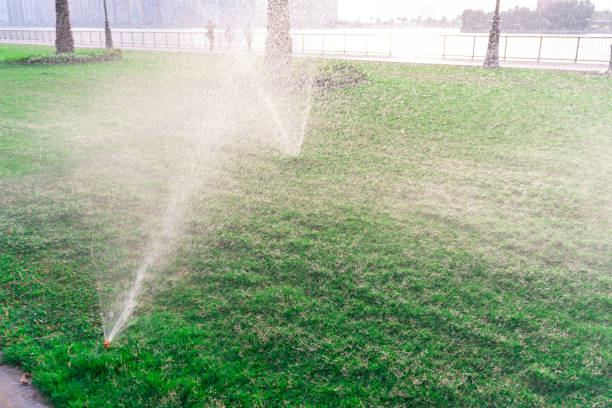 istock Beautiful green lawn park with trees is sprayed with automatic water spray sprinkler installation during hot period in summer blue sky. Irrigation turf 1312590869