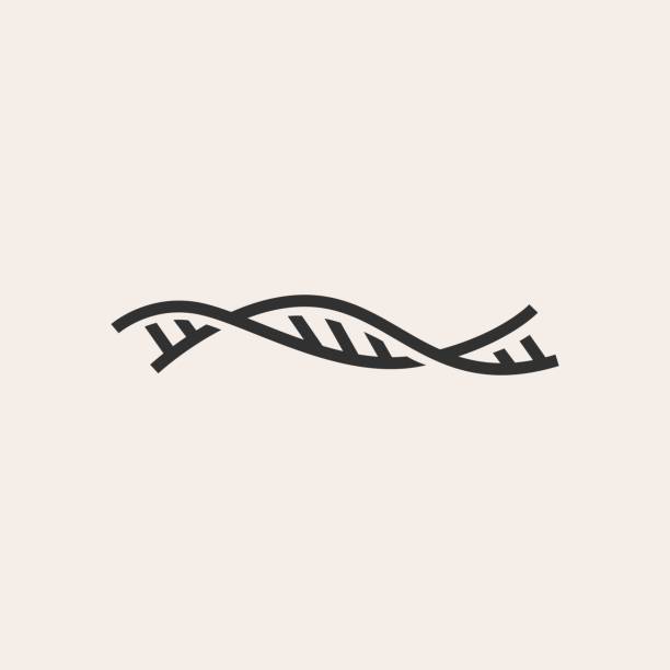 dna-stamm helix hipster vintage vektor-symbol-illustration - helix stock-grafiken, -clipart, -cartoons und -symbole