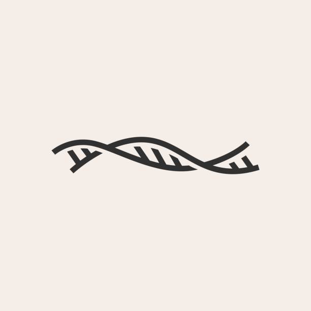 DNA strain helix hipster vintage vector icon illustration DNA strain helix hipster vintage vector icon illustration dna helix stock illustrations