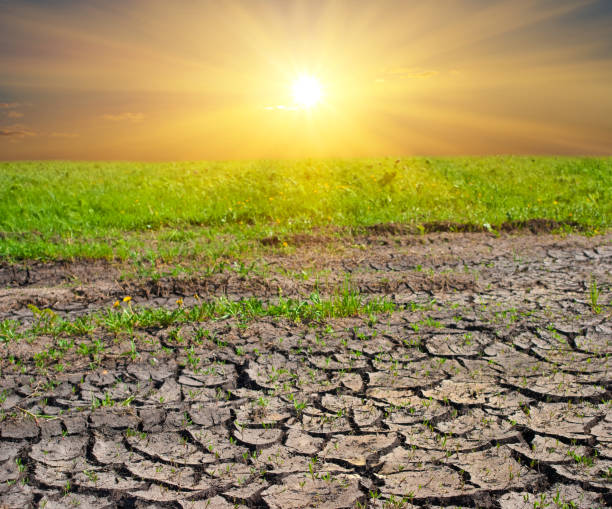 istock cracked earth at the sunset 1312592417