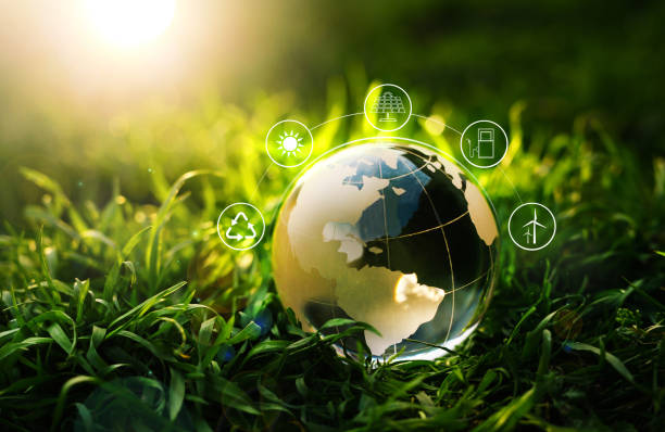 istock Crystal Globe  on grass at sunny background with Energy Resources icon. Earth day. Energy saving concept. Development Green Business Investment 1312595387