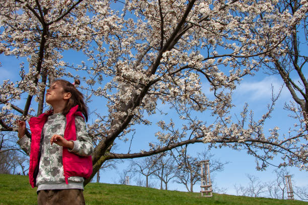 istock Girl with a blossoming tree 1312596570
