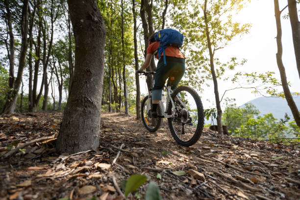 istock Woman cyclist cycling on spring mountain top forest trail 1312596837