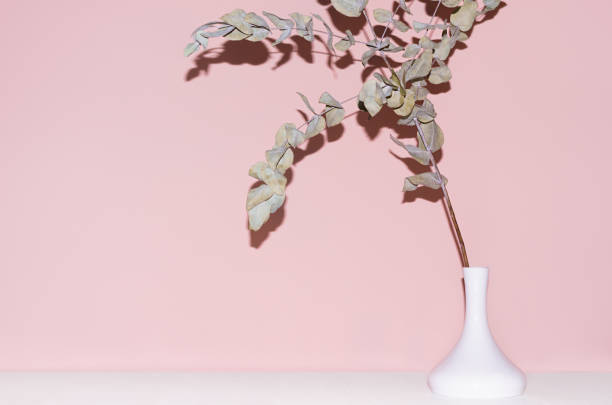 istock Dry eucalyptus branch in vase with  black shadow after flash on white wood table and pastel pink wall. Modern fashion dirty grunge style. 1312599963