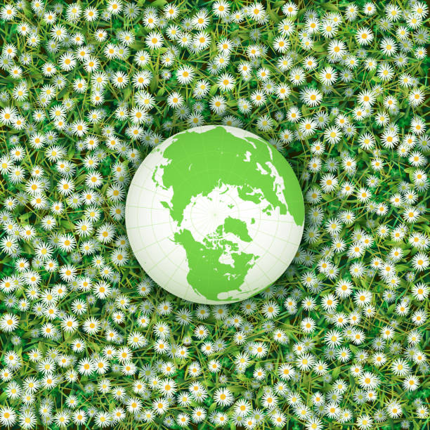 ziemia kula ziemska na łące, koncepcja ekologii - backgrounds color image directly above full frame stock illustrations