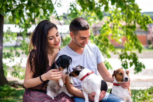 istock Petting the dogs 1312603230