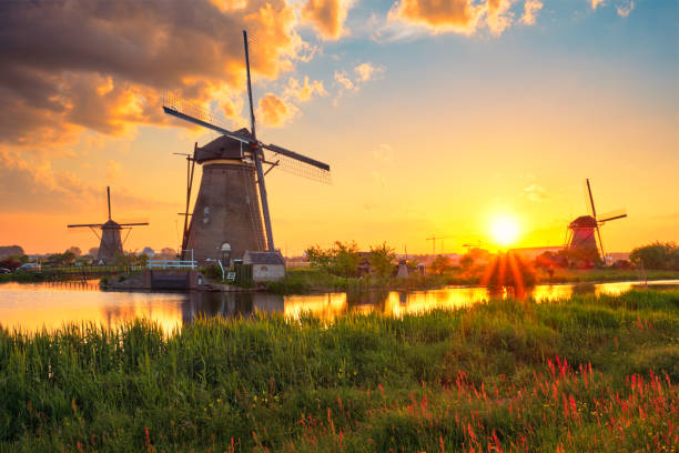 istock Windmills at Kinderdijk in Holland. Netherlands 1312606379