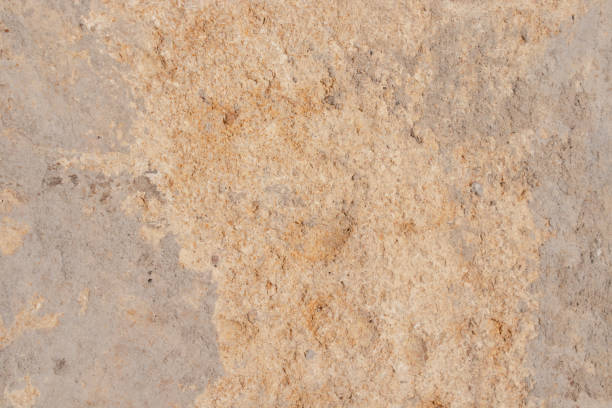 istock texture of stone concrete wall. pastel background solid. cracked sand brick 1312607687