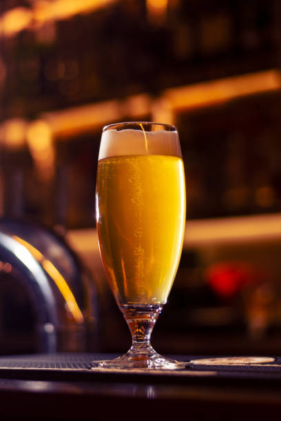 istock Drink and bar craft beer 1312608264