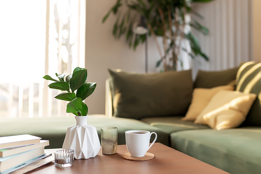 Relaxing time at comfort home with candles, coffee cup, books and vase with zamioculcas at wooden table. Green sofa with yellow pillows. Rays of sun. High quality photo