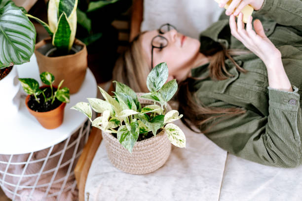 istock Young woman lying and relaxing on the couch 1312609898